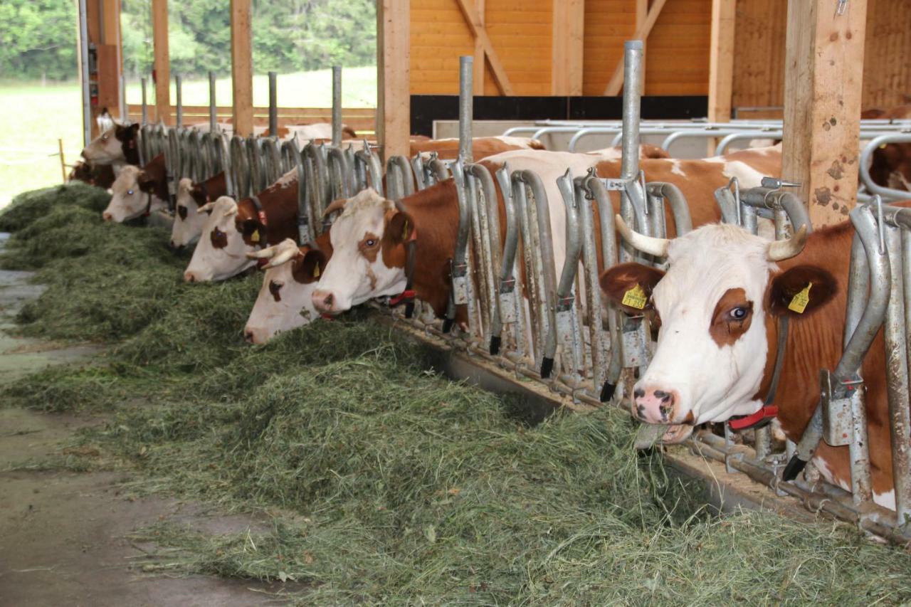 Bauernhof Ferienbauernhof-holops St. Georgen im Schwarzwald