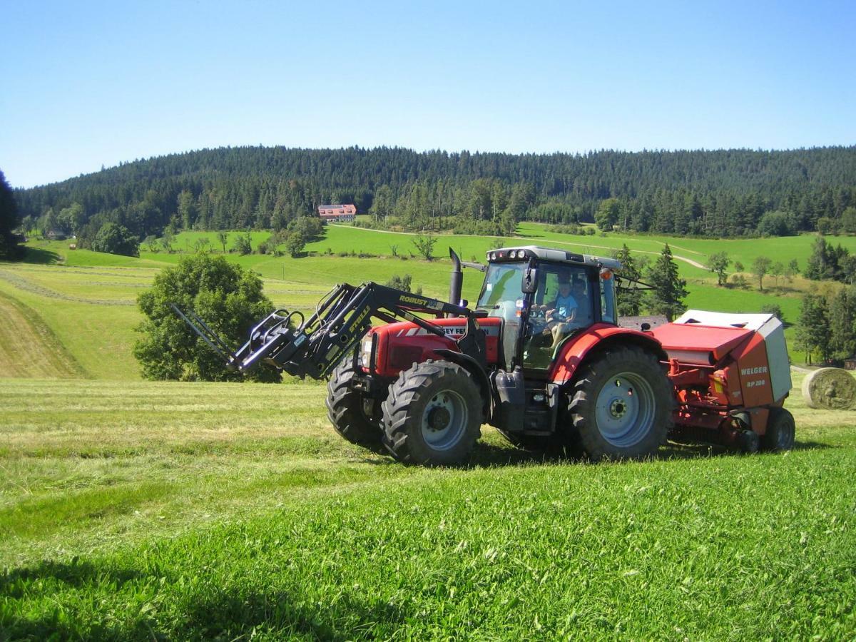 Ferienbauernhof-holops St. Georgen im Schwarzwald